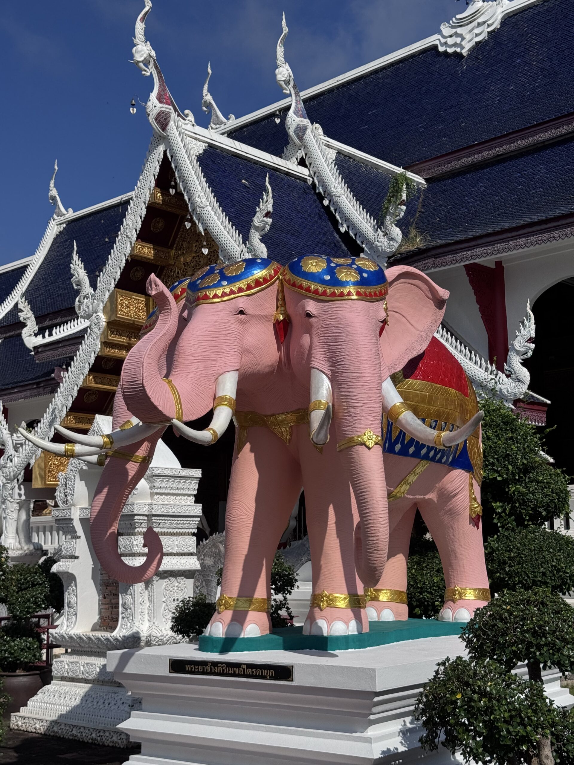 Colorful twin elephants adorned with decorative headdresses stand in front of a traditional temple, showcasing cultural artistry and symbolism.