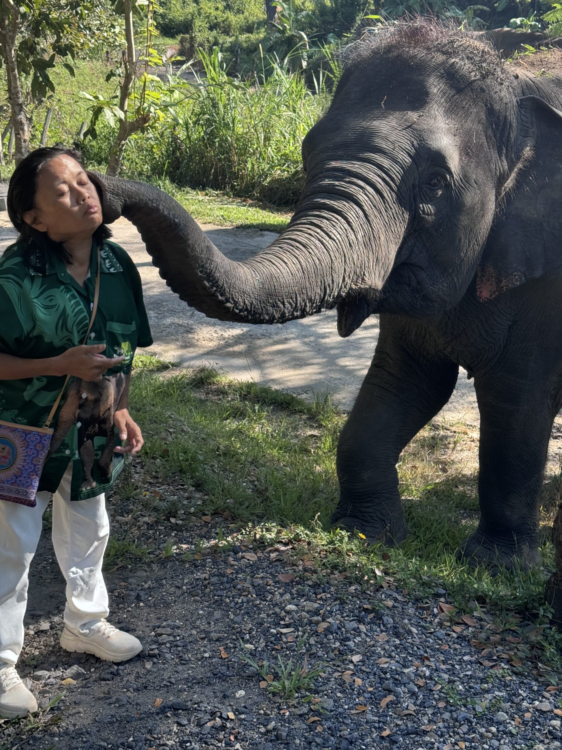 A woman stands beside an elephant, gently leaning into the elephant's trunk as it touches her cheek. Lush greenery surrounds them, suggesting a wildlife setting.